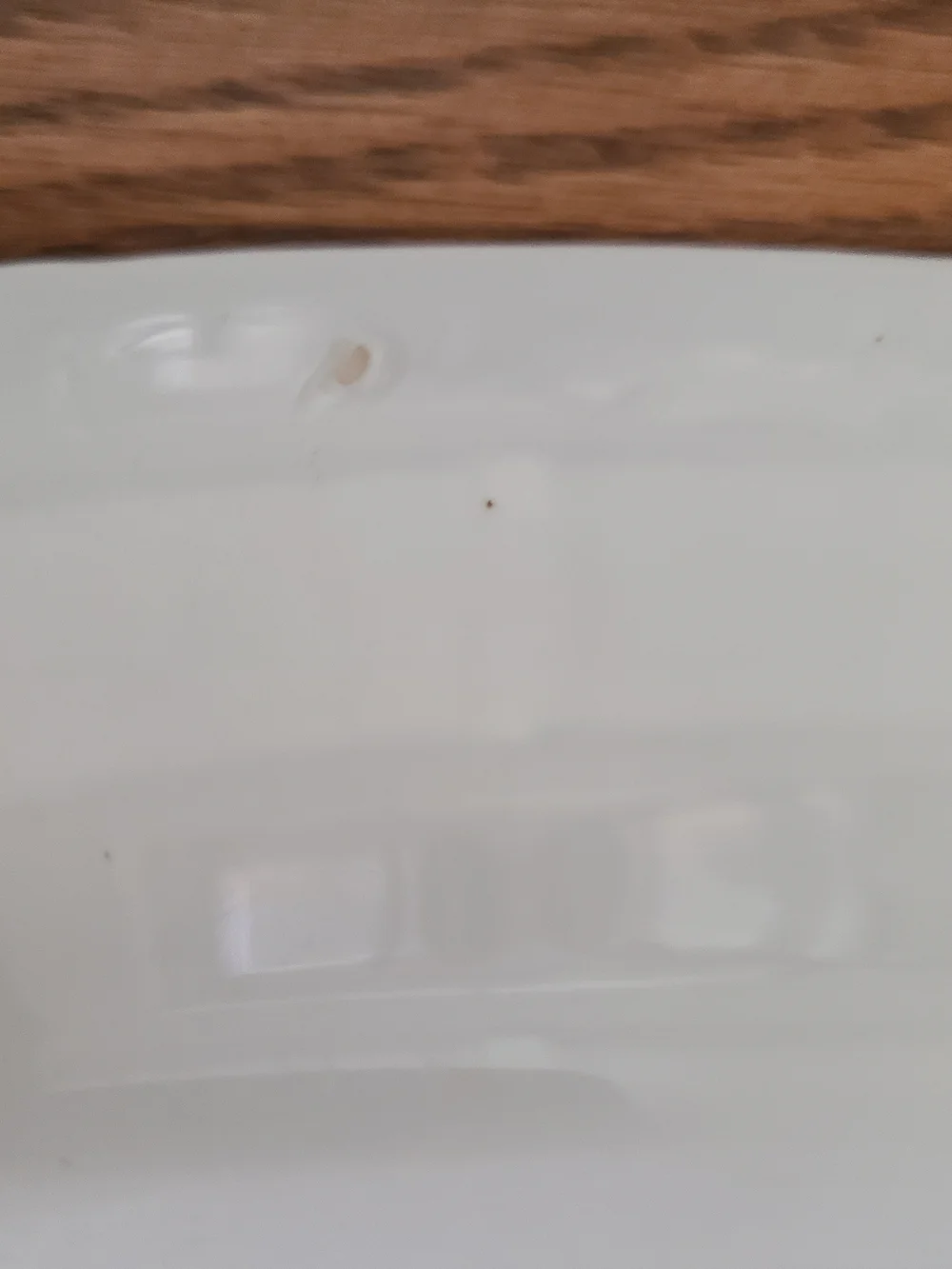 Antique Alfred Meakin Royal Ironstone China Platter featuring  Morning Glory